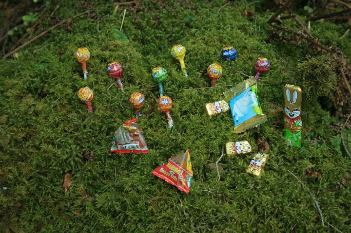 Osterhasensuche 2012 Bild 12